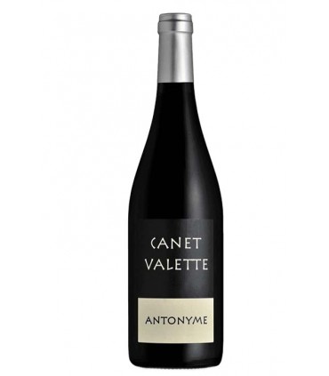 Saint-Chinian "Antonyme" 2019 - Domaine Canet Valette
