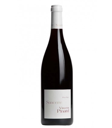 Sancerre "Pinot Noir" 2020 - Domaine Vincent Pinard