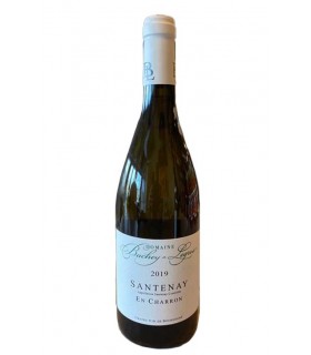 Santenay blanc "En Charron" 2020 - Domaine Bachey-Legros