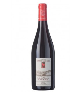 Anjou rouge "Coteaux d'Ardenay" 2017 - Domaine Patrick Baudouin