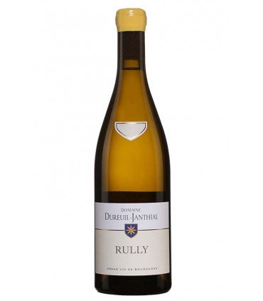 Rully Blanc 2021 - Domaine Dureuil-Janthial