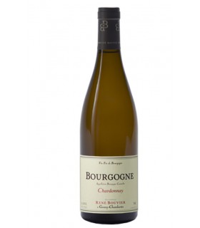 Bourgogne Blanc 2015 - Domaine René Bouvier