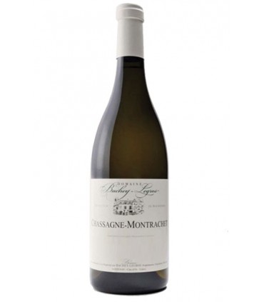 Chassagne-Montrachet blanc 2018 - Domaine Bachey-Legros