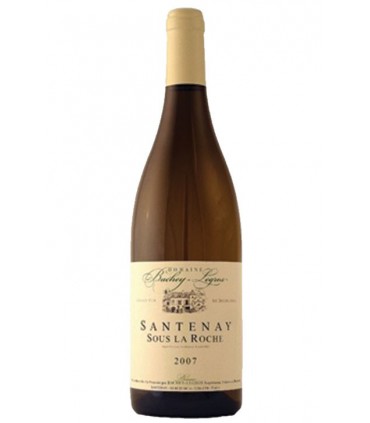 Santenay blanc "Sous La Roche" 2018 - Bachey-Legros