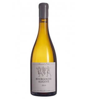 Bourgogne Aligoté "Antichtone" 2019 - Benoit Ente