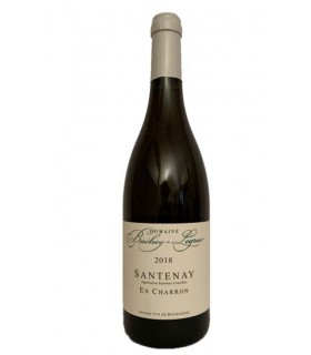 Santenay blanc "En Charron" 2018 - Domaine Bachey-Legros